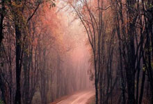 米乐体育：[网球]连赢十局 张帅组合轻松晋级.