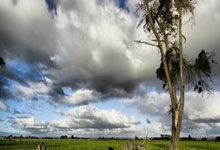 WTT更新赛事手册:最近一届奥运冠军将受邀参加大满贯正赛及冠军赛2025-02-28.