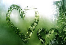 WTT更新赛事手册:最近一届奥运冠军将受邀参加大满贯正赛及冠军赛2025-02-28.